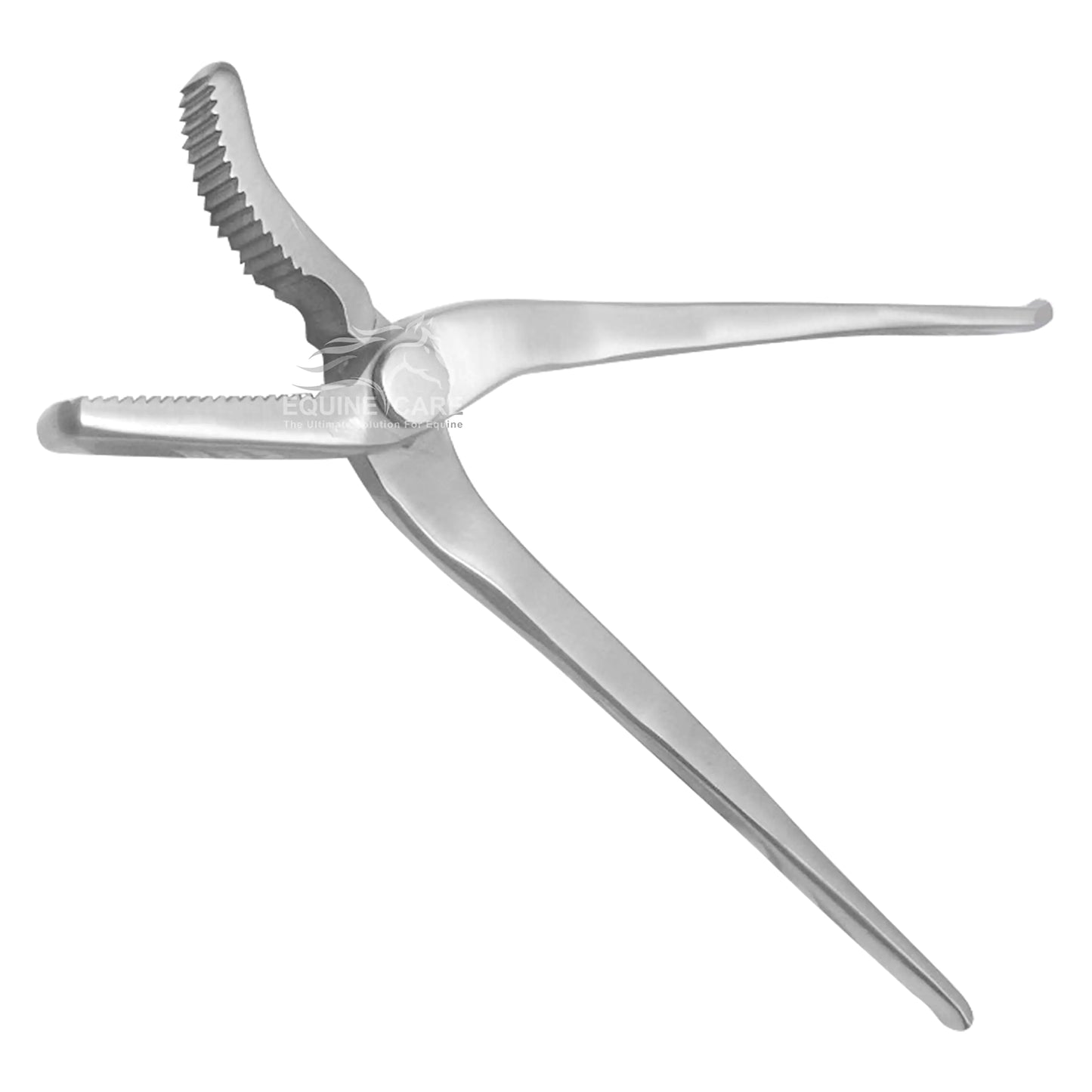 Equine Care 12-Inch Alligator Hoof Clincher - Chrome Vanadium Steel Farrier Tool for Expert Horseshoeing & Perfect Hoof Trimming | Essential Farrier Supplies for Precision & Durability. - The One Stop Equine Shop