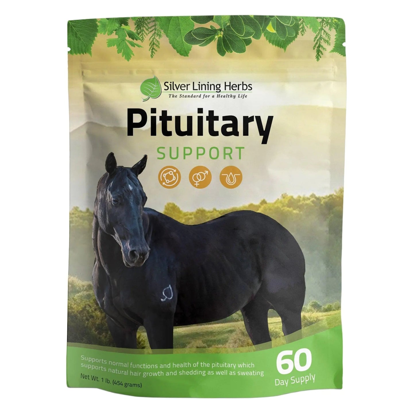 Silver Lining Herbs Pituitary Support - Supports Equine Normal Function and Health of The Pituitary - Natural Herbal Blend May Help Pituitary Dysfunction in Senior Horses - 1 lb Bag - The One Stop Equine Shop