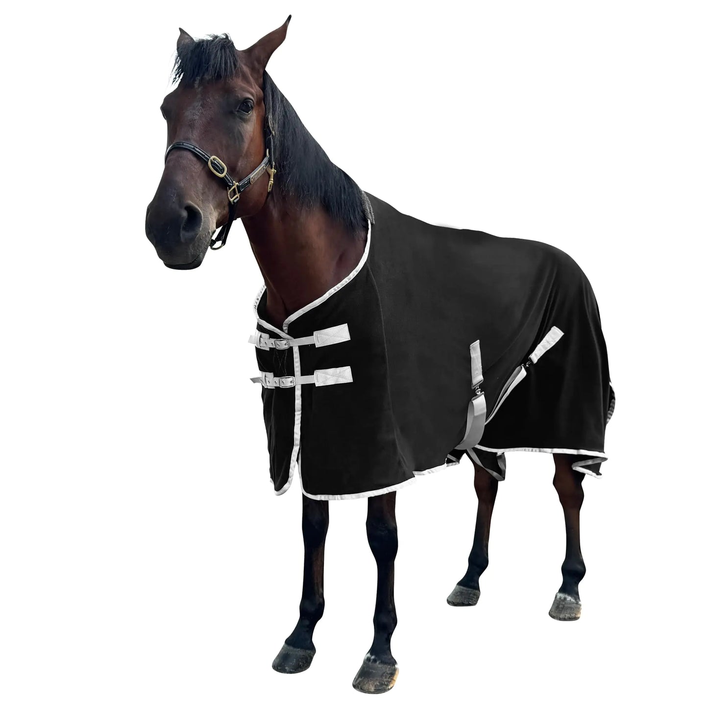 Horse Cooler & Fleece Blankets for Horses Polar Fleece Cooling Blankets Sheets Horse Exercise Sheet Fleece Rugs Standard Neck (Black US 81 in(EU 155 cm))