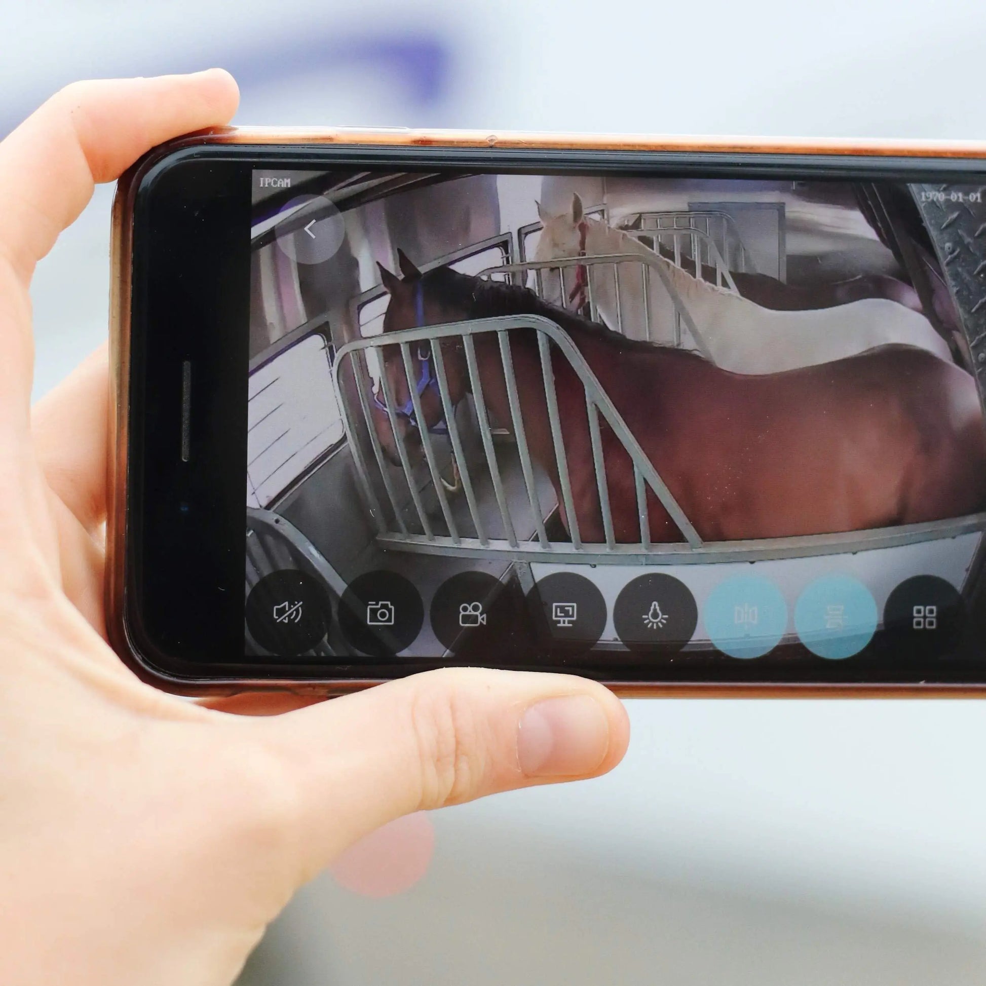 Equine Eye Voyager - Wireless Horse Trailer Camera – Live Video to Your Mobile with Night Vision Audio - 8 Hours Battery Life - No Cell Signal Needed - Compatible with iPhone & Android Devices - The One Stop Equine Shop