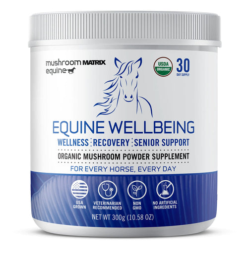 Om Mushroom Matrix - Equine | Wellbeing | USA Grown Human-Grade Organic Mushroom Powder Show Safe Horse Supplement | Wellness Recovery & Senior Support | 300 Grams 10.5 oz - The One Stop Equine Shop