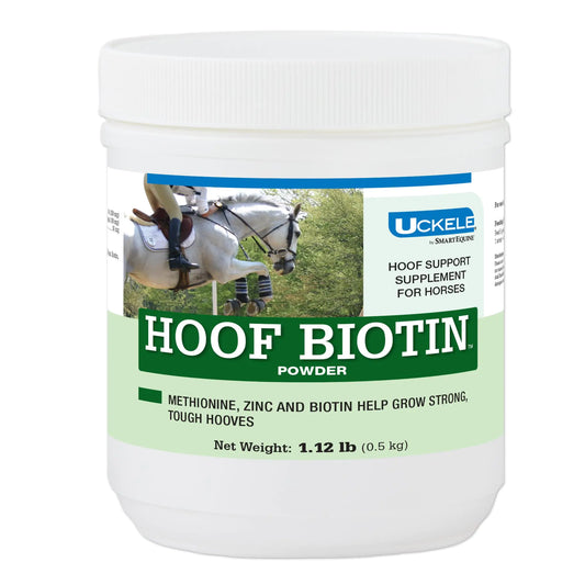 Uckele by SmartEquine Horse Biotin Powder | Hoof Supplement for Horses Biotin for Horses Includes Zinc and Methionine | 18 oz Jar