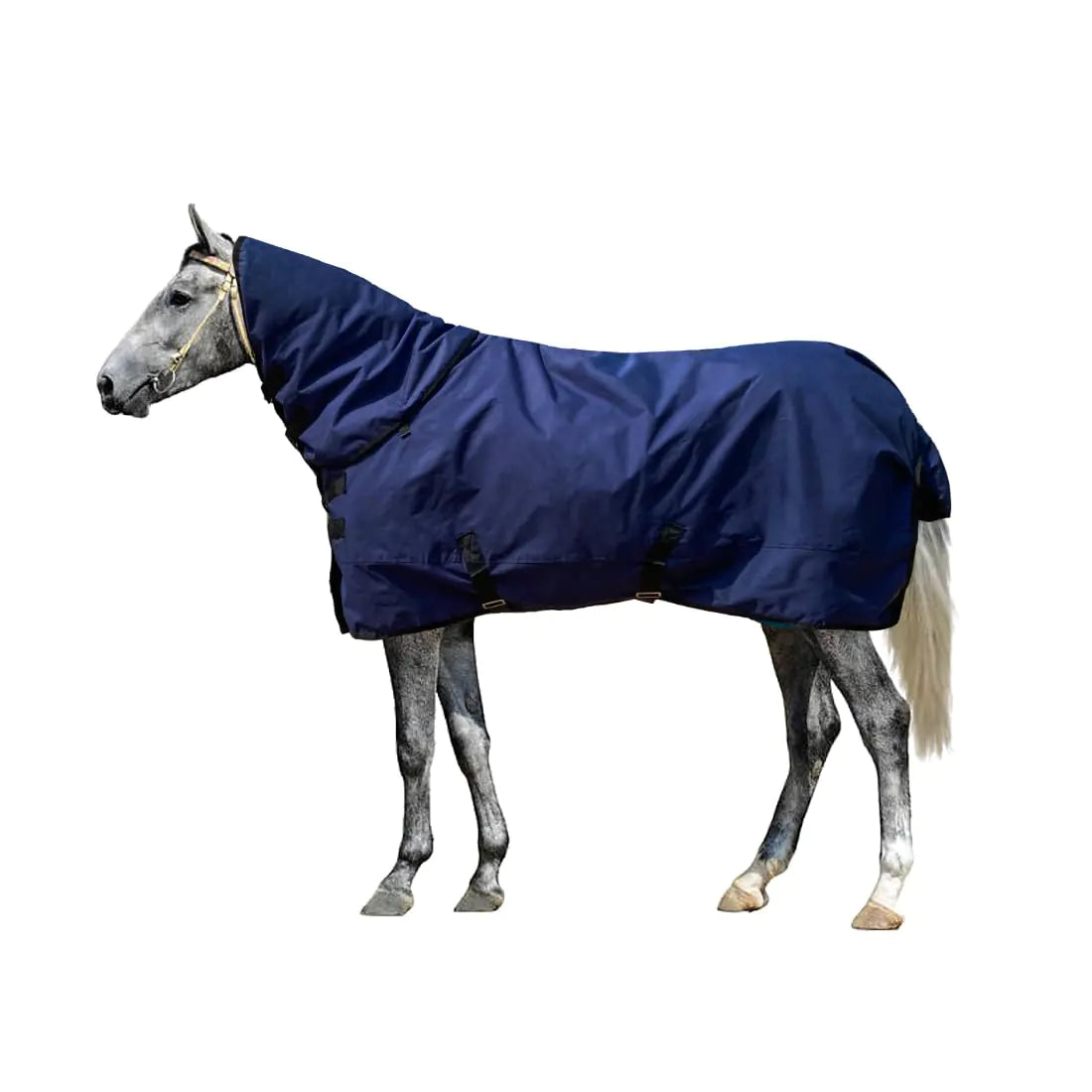 Horse Blankets for Winter Waterproof 1200D Medium Weight (220g Fill) Horse Turnout Blanket with Neck Cover Leg Straps (US 81in / EU 155cm) - The One Stop Equine Shop