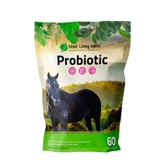 Silver Lining Herbs Horse Probiotic - Micro Encapsulated Probiotics for Equine Digestive Support and a Healthy Gut - Natural Source of Beneficial Bacteria and Enzymes - 1.25 lb Bag - The One Stop Equine Shop
