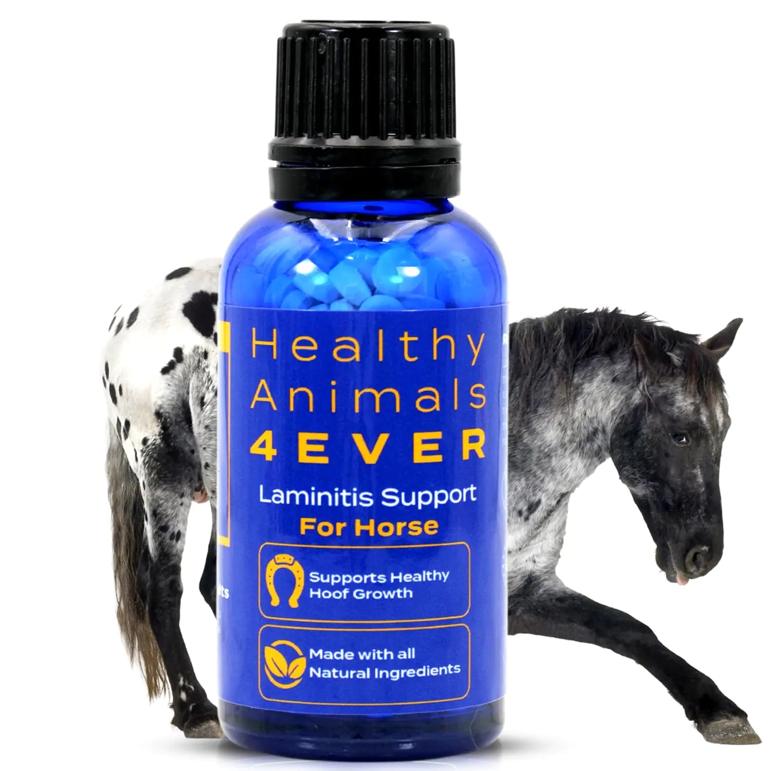 HealthyAnimals4Ever All-Natural Horse Laminitis Support - Horse Hoof Care Products for Damaged or Injured Hooves - Hoof Supplements for Horses - Homeopathic & Highly Effective - 300 Tablets - The One Stop Equine Shop