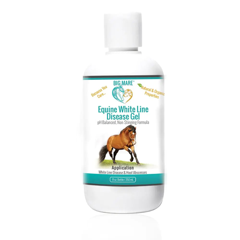 Big Mare Horse White Line Gel for Equine Hoofs | Effective On Abscesses & White Line Hoof Disease - The One Stop Equine Shop