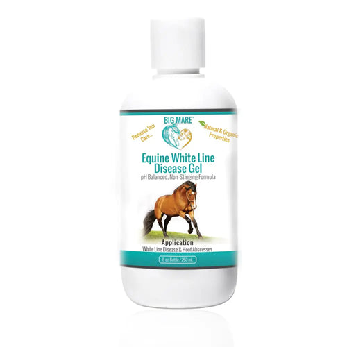 Big Mare Horse White Line Gel for Equine Hoofs | Effective On Abscesses & White Line Hoof Disease - The One Stop Equine Shop