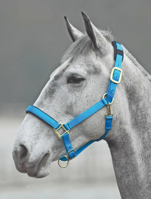 Shires Topaz Nylon Halter with BREAEKAWAY (Blue Small Pony) - The One Stop Equine Shop