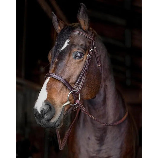 Bello-Equine Horse Bridles - Premium Leather Fancy Stitch - Havana Brown - Size (COB) - The One Stop Equine Shop