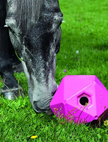 Shires Horse Pony Equine Ball Feeder Stable Toy Treat Ball Green 9"