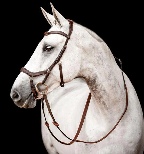 Bello-Equine MICKLEM Bridle - Havana Brown - Full Size