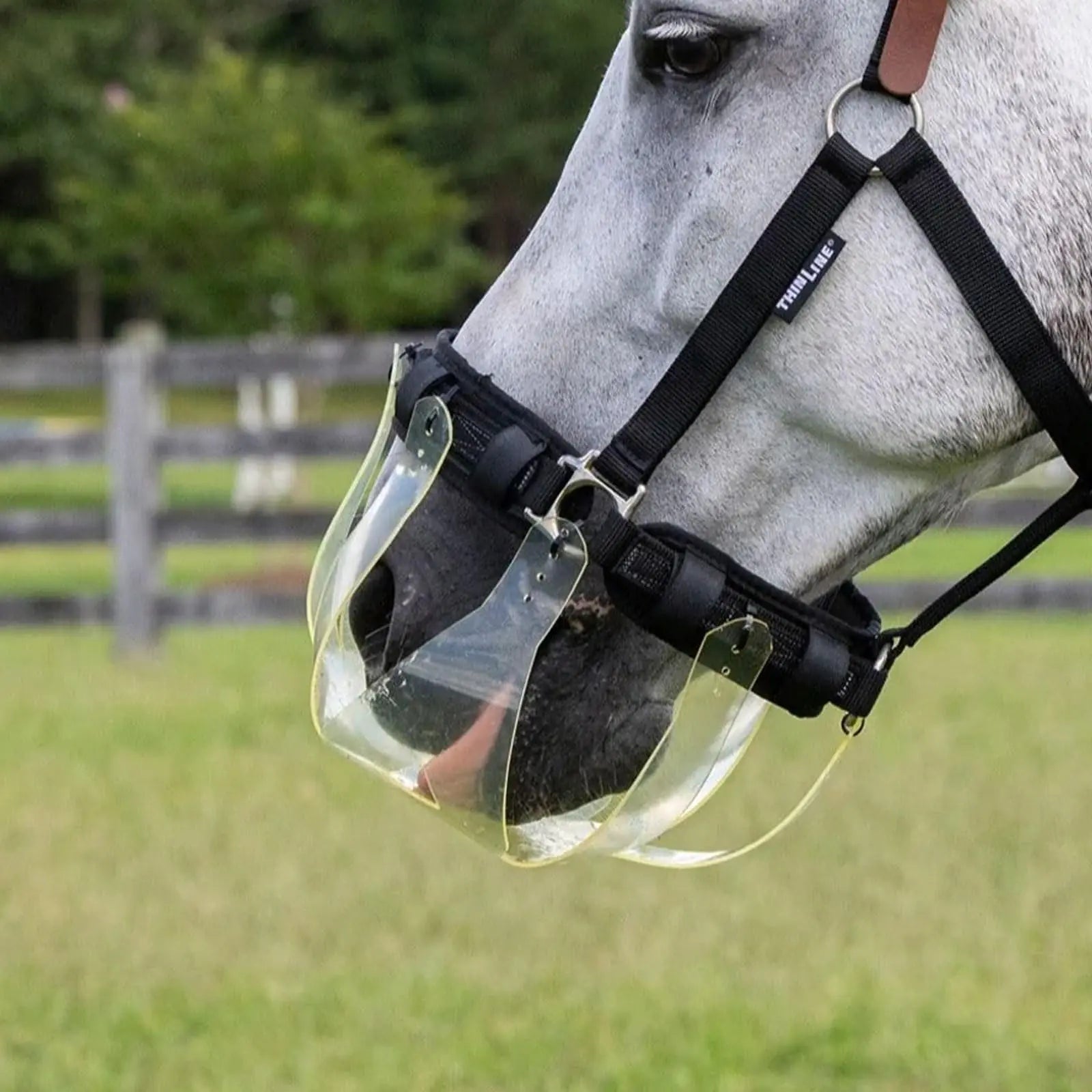 ThinLine Flexible Filly Grazing Muzzle | Lightweight Safe Comfortable Ventilated Equine Slow Feed Halter Mounting Clear Horse Mask Mini/Pony 3.5+ cm Hole - The One Stop Equine Shop
