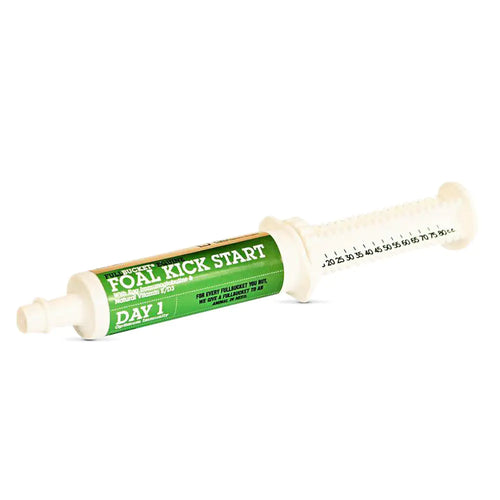 FullBucket Equine Foal Kickstart Paste – Ideal for Newborn Foals on Day 1 to Support Healthy Immune & Digestive System Health 1 Tube - The One Stop Equine Shop