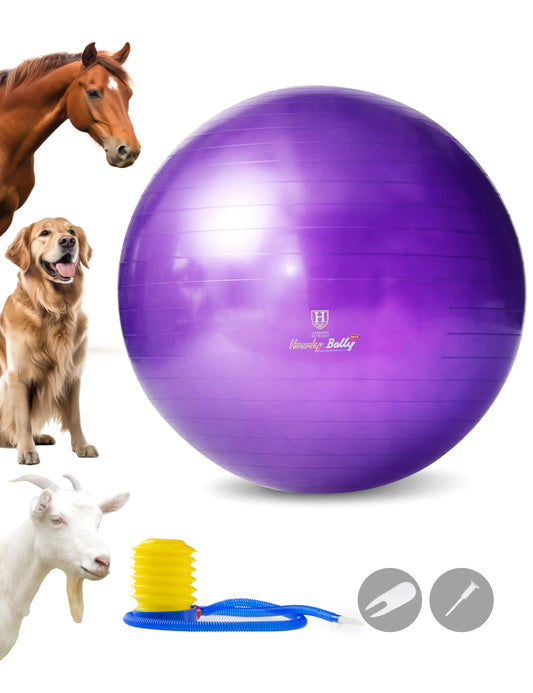 Harrison Howard Mega Horse Play Ball Anti-Burst Giant Horse Ball Horse Soccer Ball 25 Inch-Purple