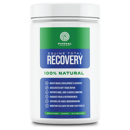 Equine Total Recovery Horse Supplement - 9 Equine Amino Acids Plus Probiotics for Horses -100% Natural- No Added Sugar No Soy No Fillers - Horse Joint Support Supplement (100 Servings)